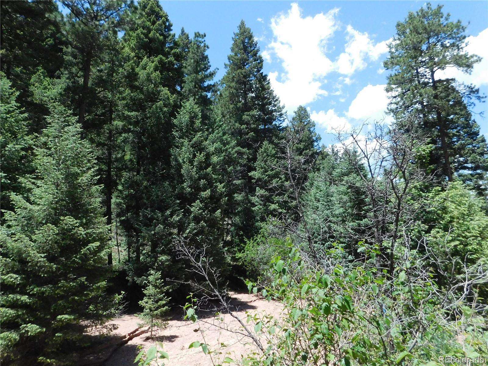3.89 Acres of Residential Land for Sale in Larkspur, Colorado