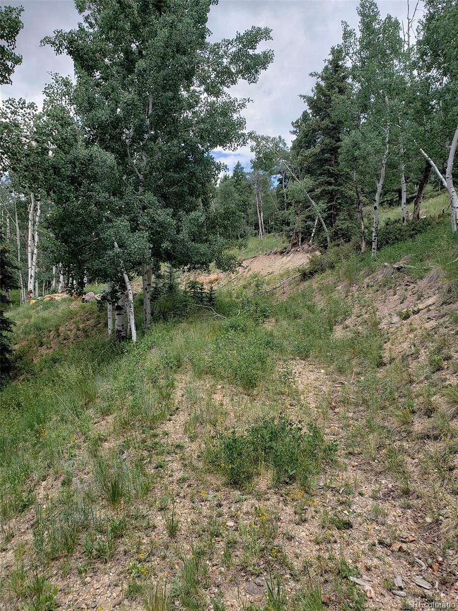 0.5 Acres of Land for Sale in Jasper, Colorado