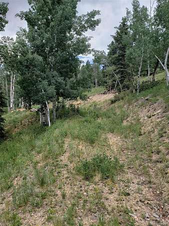 0.5 Acres of Land for Sale in Jasper, Colorado
