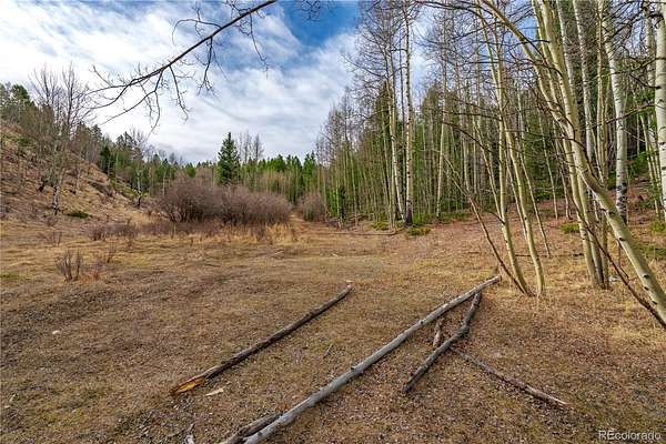 1.46 Acres of Residential Land for Sale in Cripple Creek, Colorado