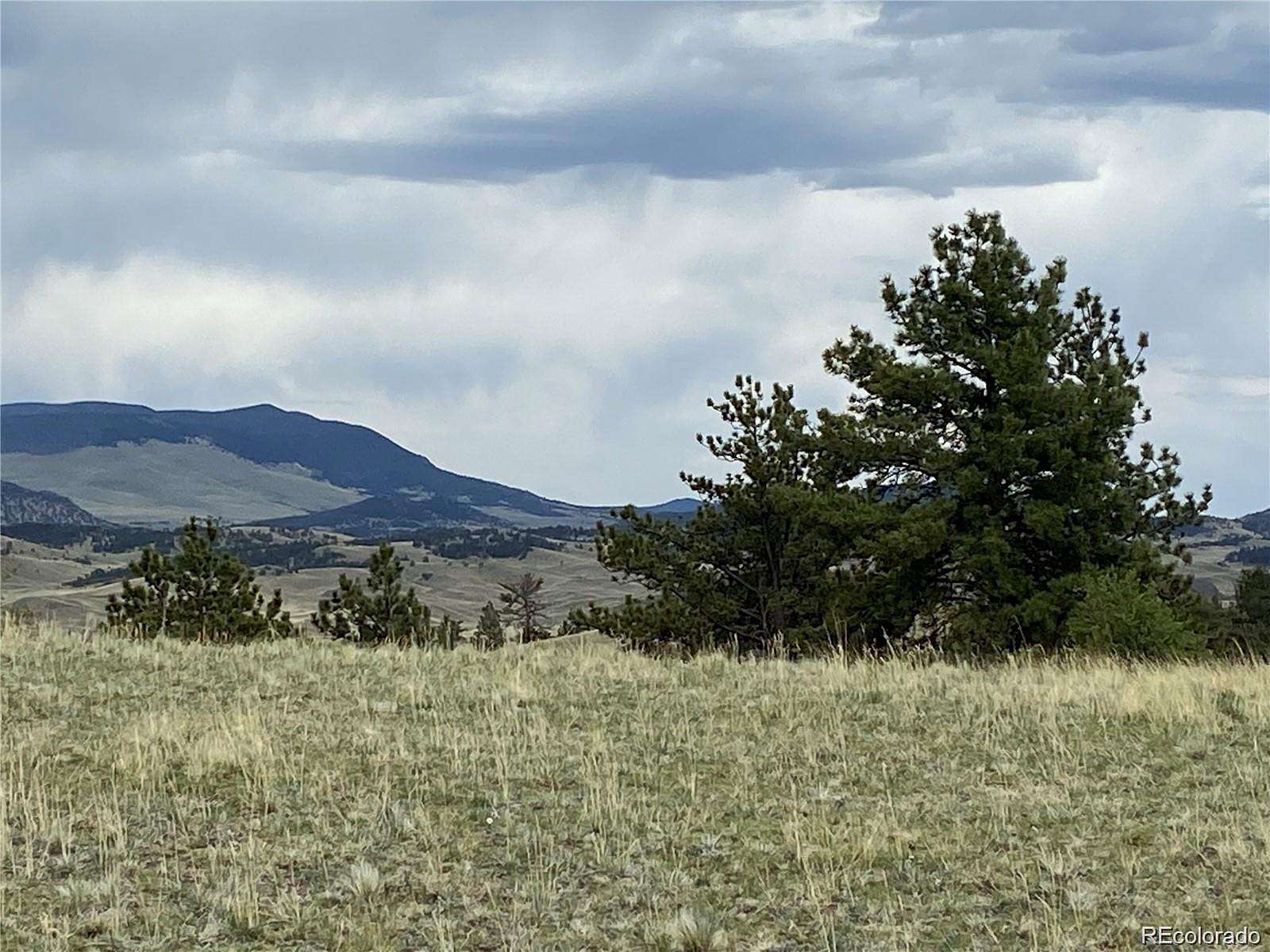 5.5 Acres of Residential Land for Sale in Hartsel, Colorado