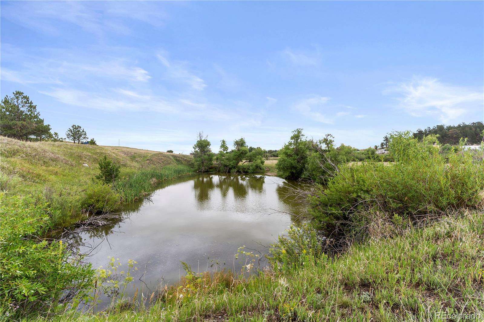 40 Acres of Land for Sale in Larkspur, Colorado