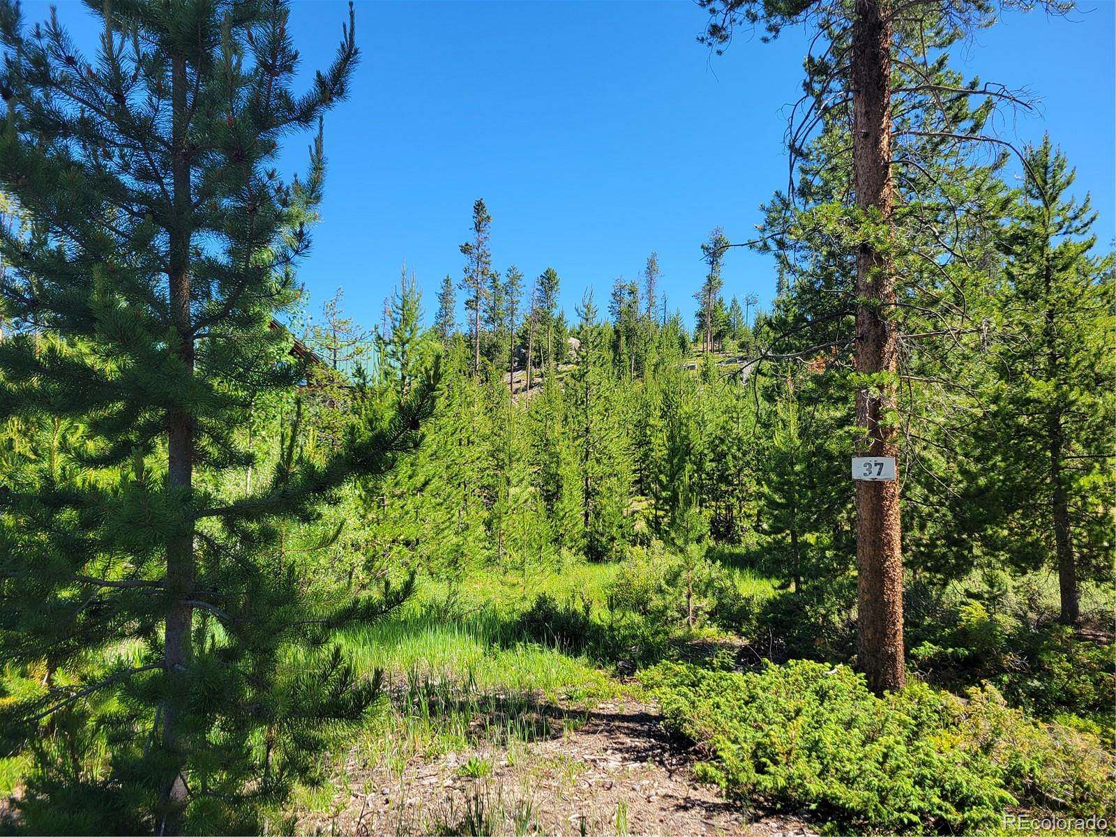 0.72 Acres of Residential Land for Sale in Grand Lake, Colorado