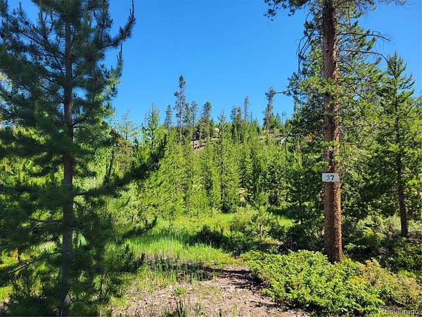 0.72 Acres of Residential Land for Sale in Grand Lake, Colorado