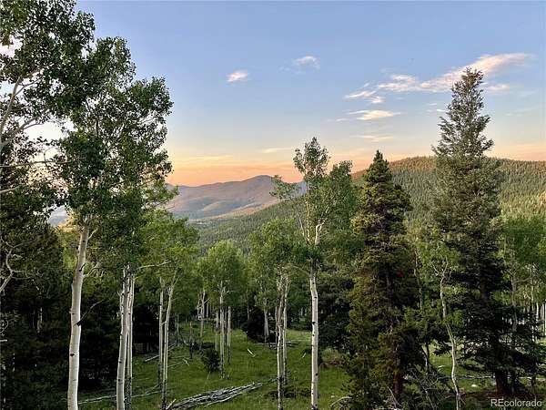 36 Acres of Recreational & Residential Land for Sale in Evergreen, Colorado