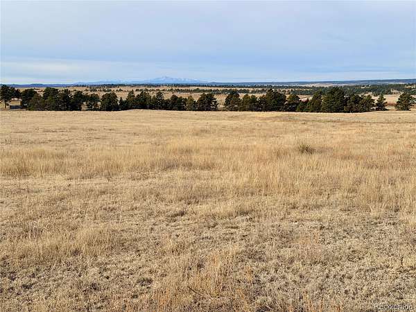 40 Acres of Recreational Land for Sale in Ramah, Colorado