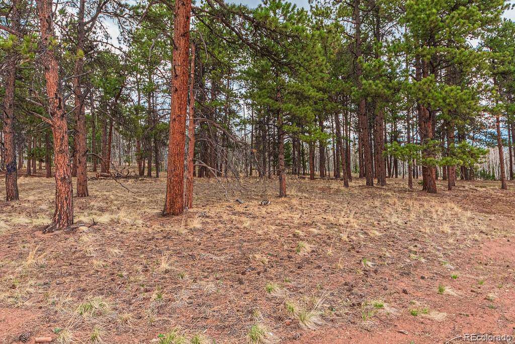 0.4 Acres of Residential Land for Sale in Woodland Park, Colorado