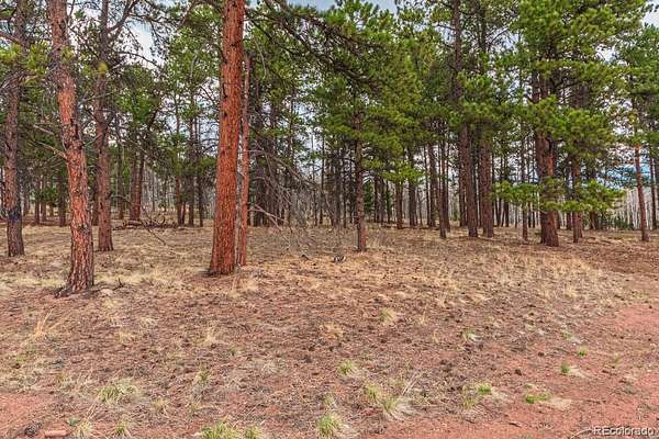 0.4 Acres of Residential Land for Sale in Woodland Park, Colorado