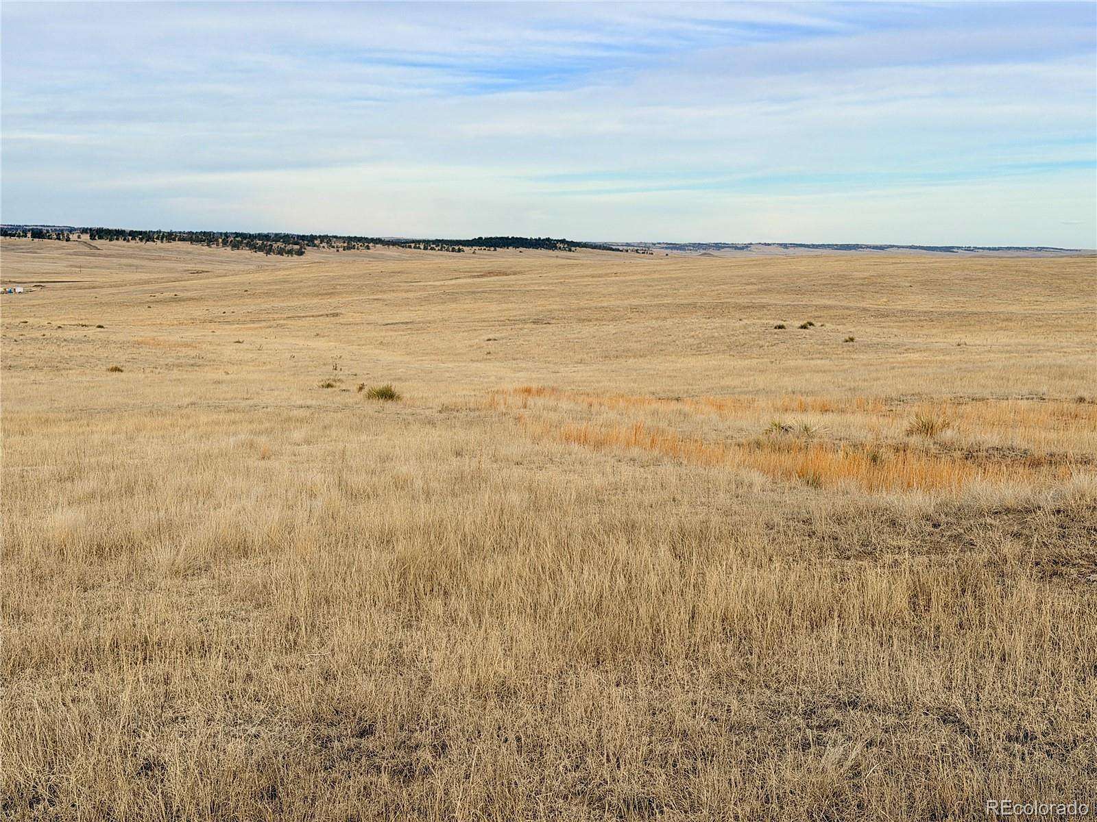 35.1 Acres of Recreational Land for Sale in Ramah, Colorado