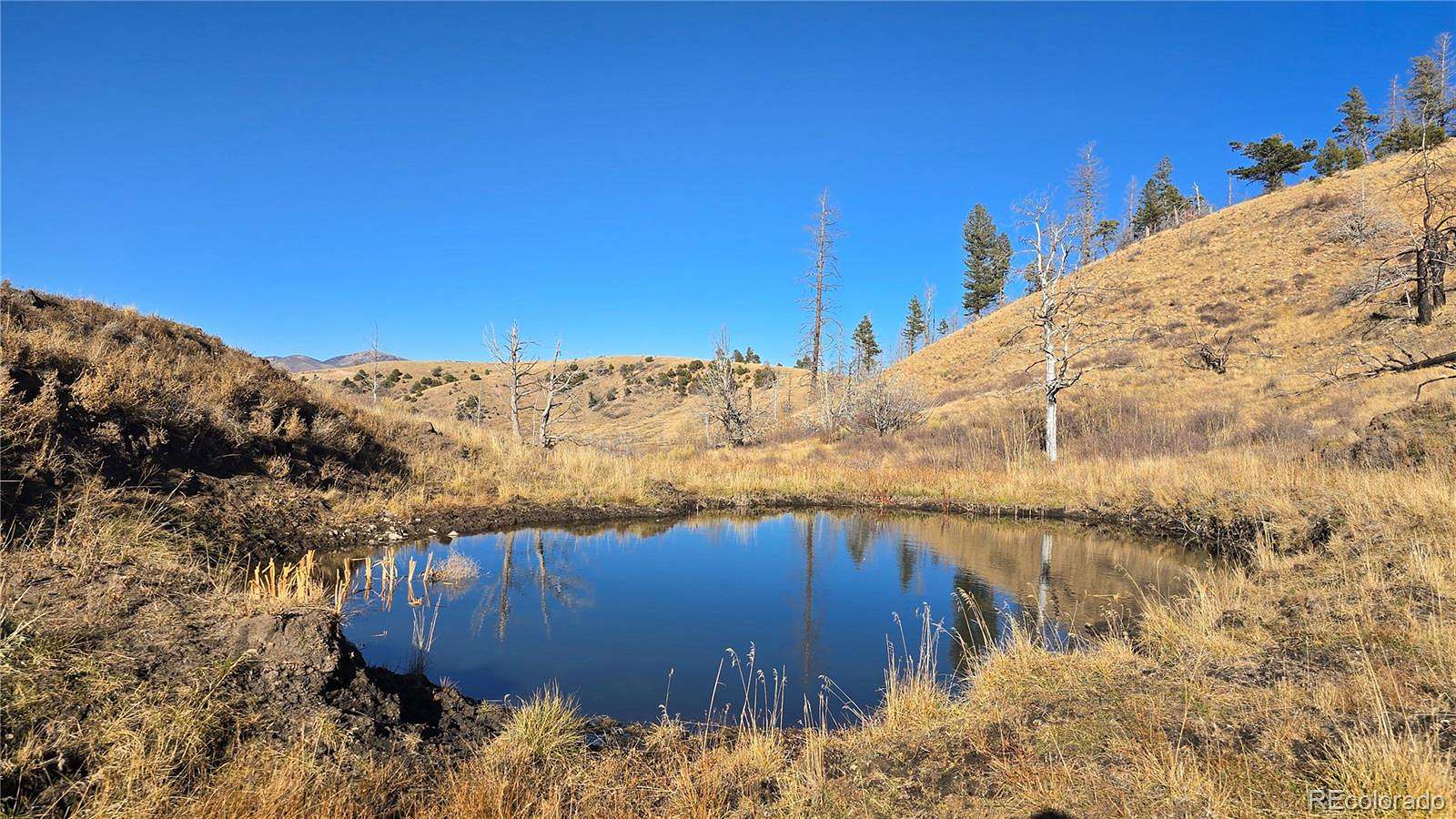 5.18 Acres of Residential Land for Sale in Fort Garland, Colorado