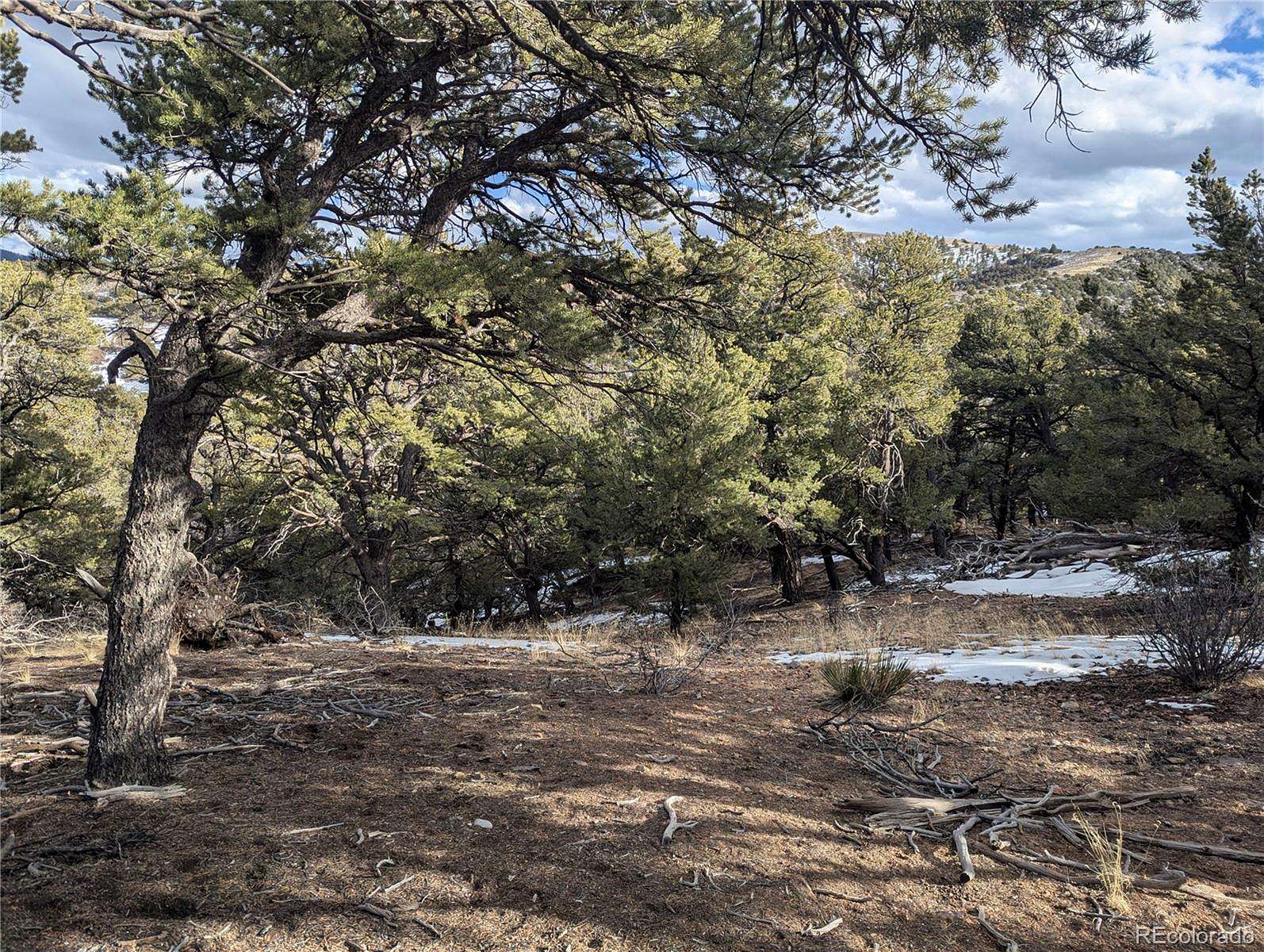 5.14 Acres of Residential Land for Sale in Fort Garland, Colorado