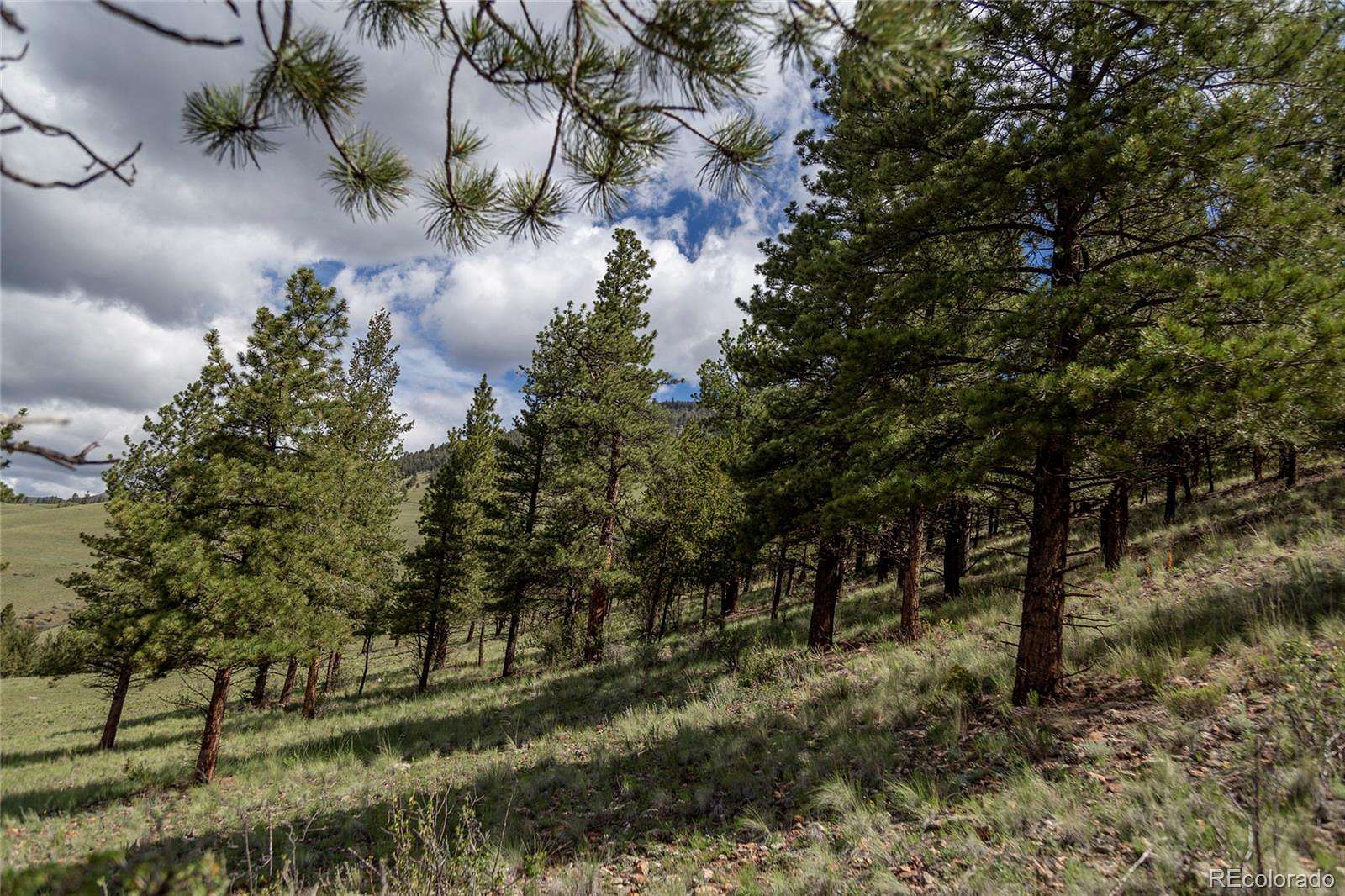 6 Acres of Residential Land for Sale in Creede, Colorado