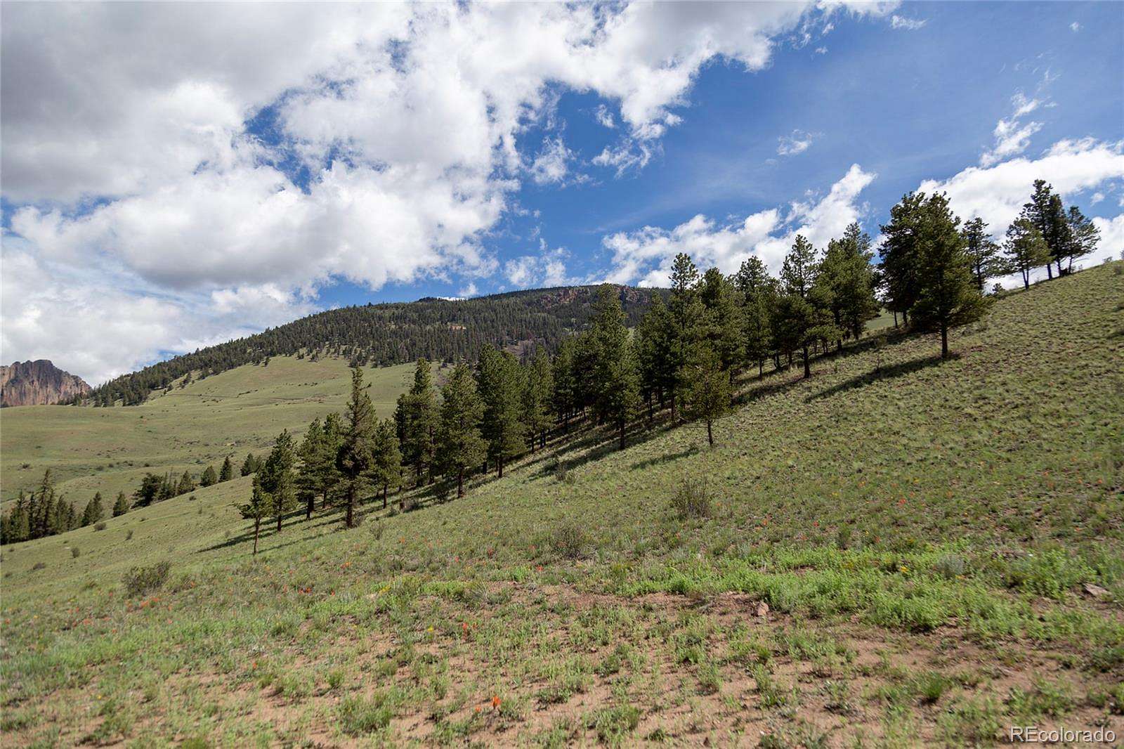 7.32 Acres of Residential Land for Sale in Creede, Colorado