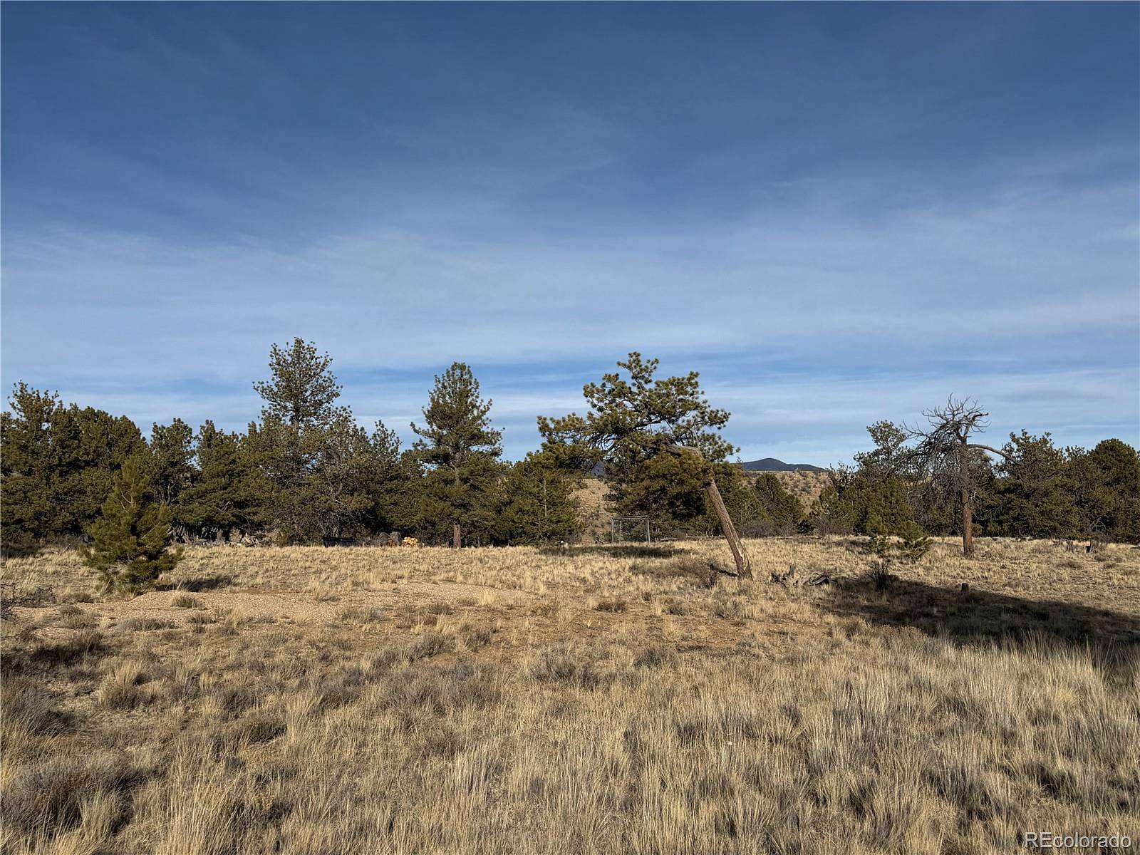 0.34 Acres of Residential Land for Sale in Hartsel, Colorado