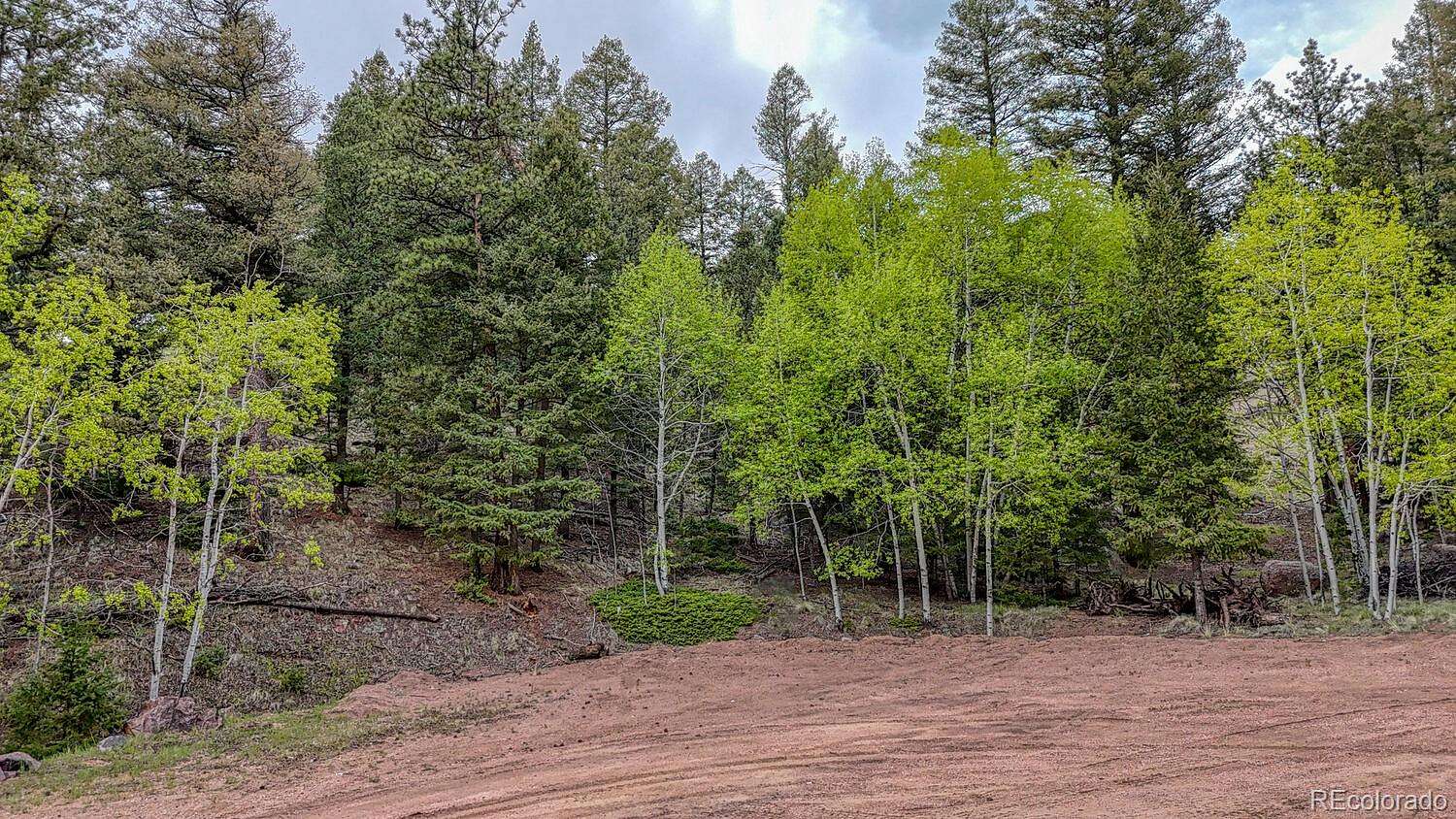 0.86 Acres of Residential Land for Sale in Florissant, Colorado