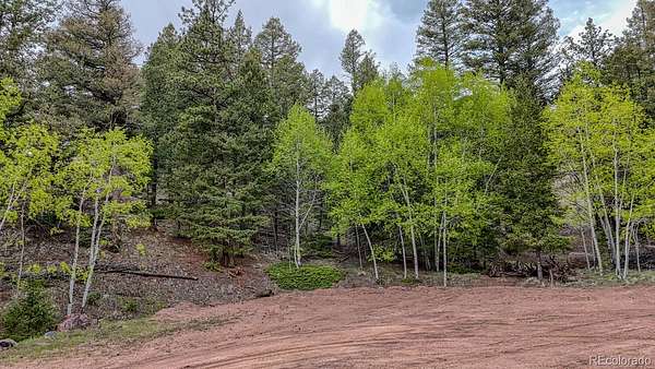0.86 Acres of Residential Land for Sale in Florissant, Colorado