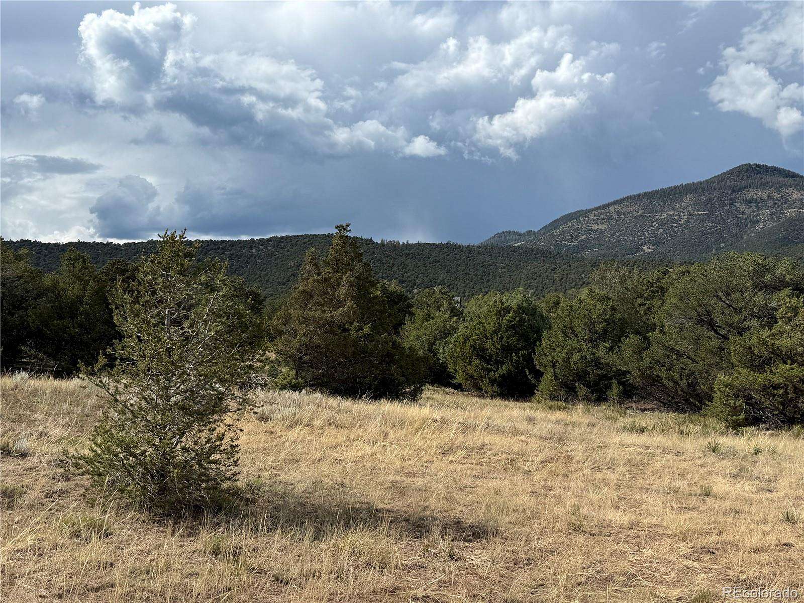 1 Acre of Residential Land for Sale in South Fork, Colorado