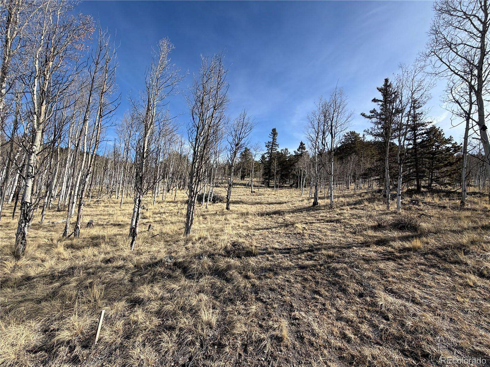 2 Acres of Residential Land for Sale in Jefferson, Colorado