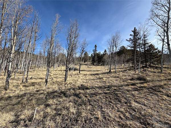 2 Acres of Residential Land for Sale in Jefferson, Colorado