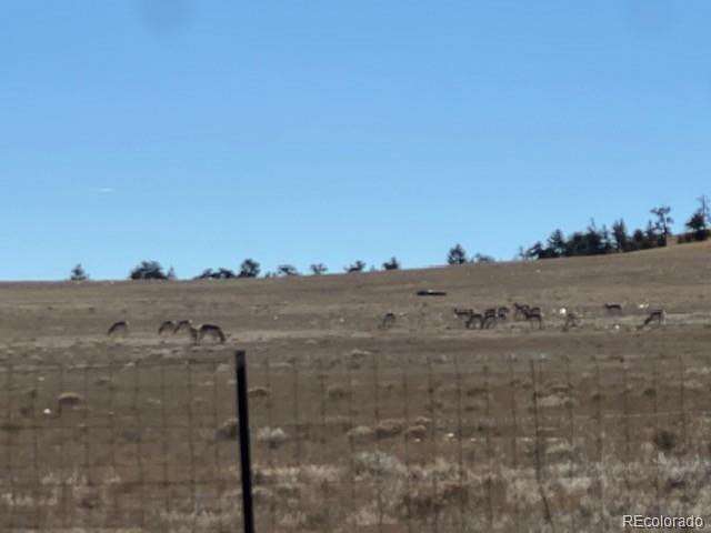 97.7 Acres of Land for Sale in Hartsel, Colorado