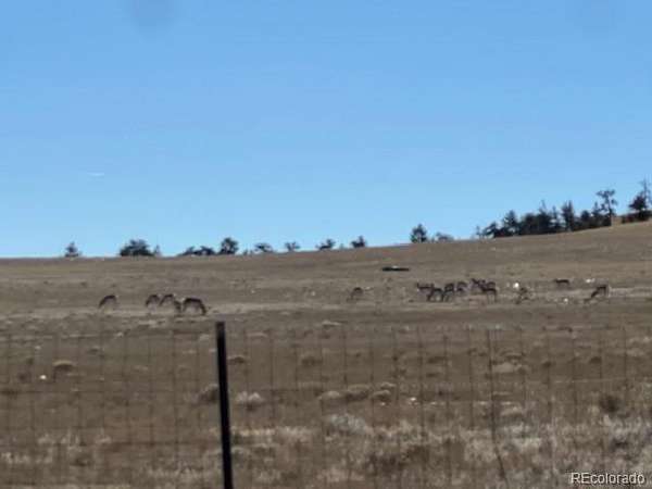 97.7 Acres of Land for Sale in Hartsel, Colorado