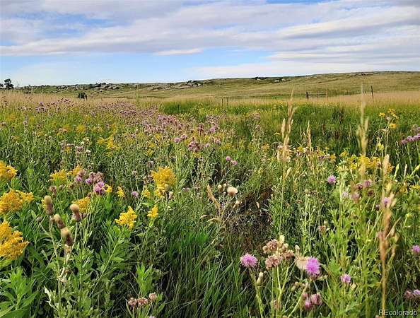 70 Acres of Land for Sale in Elbert, Colorado