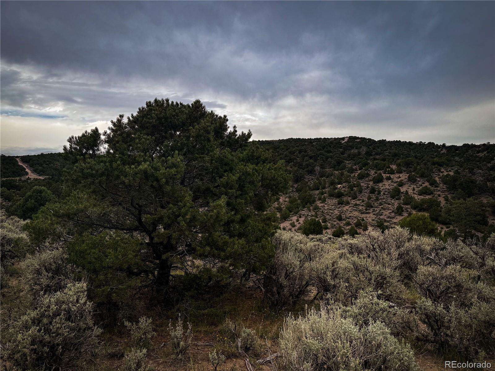 5 Acres of Residential Land for Sale in Fort Garland, Colorado