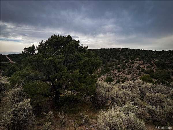 5 Acres of Residential Land for Sale in Fort Garland, Colorado
