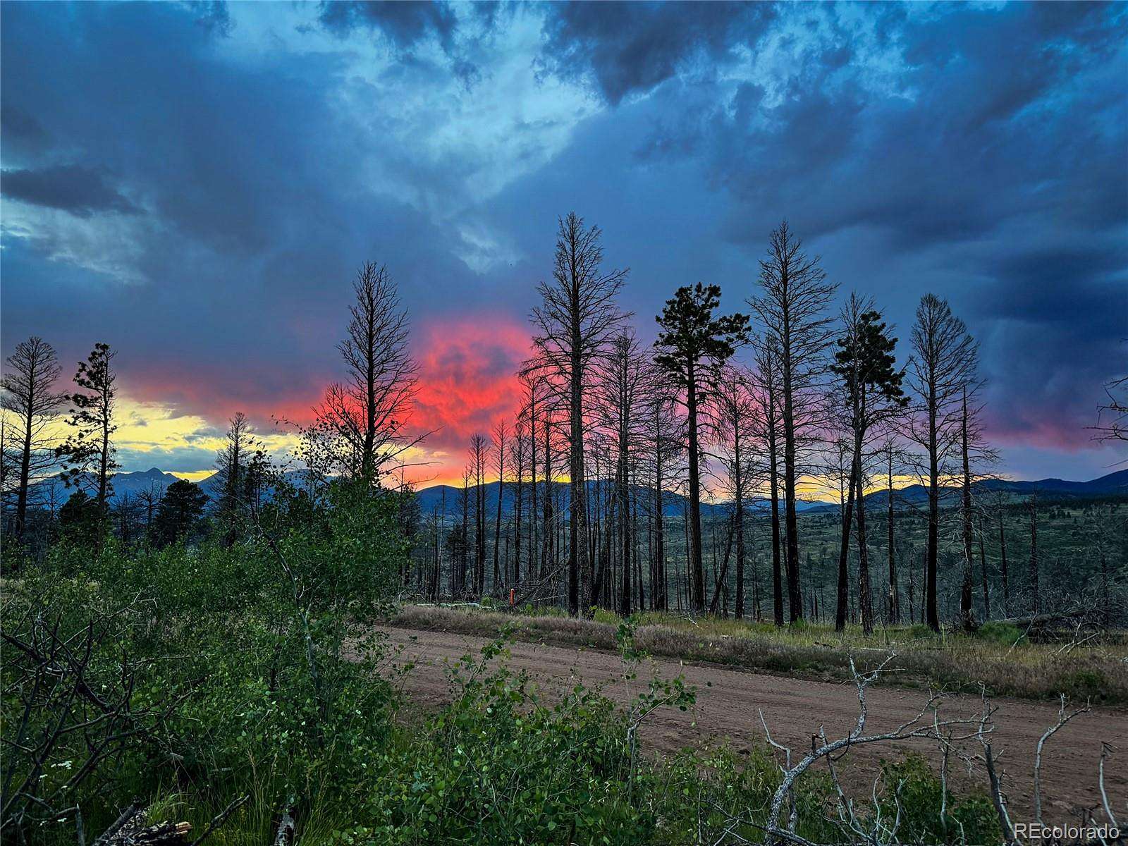 1 Acre of Residential Land for Sale in Fort Garland, Colorado