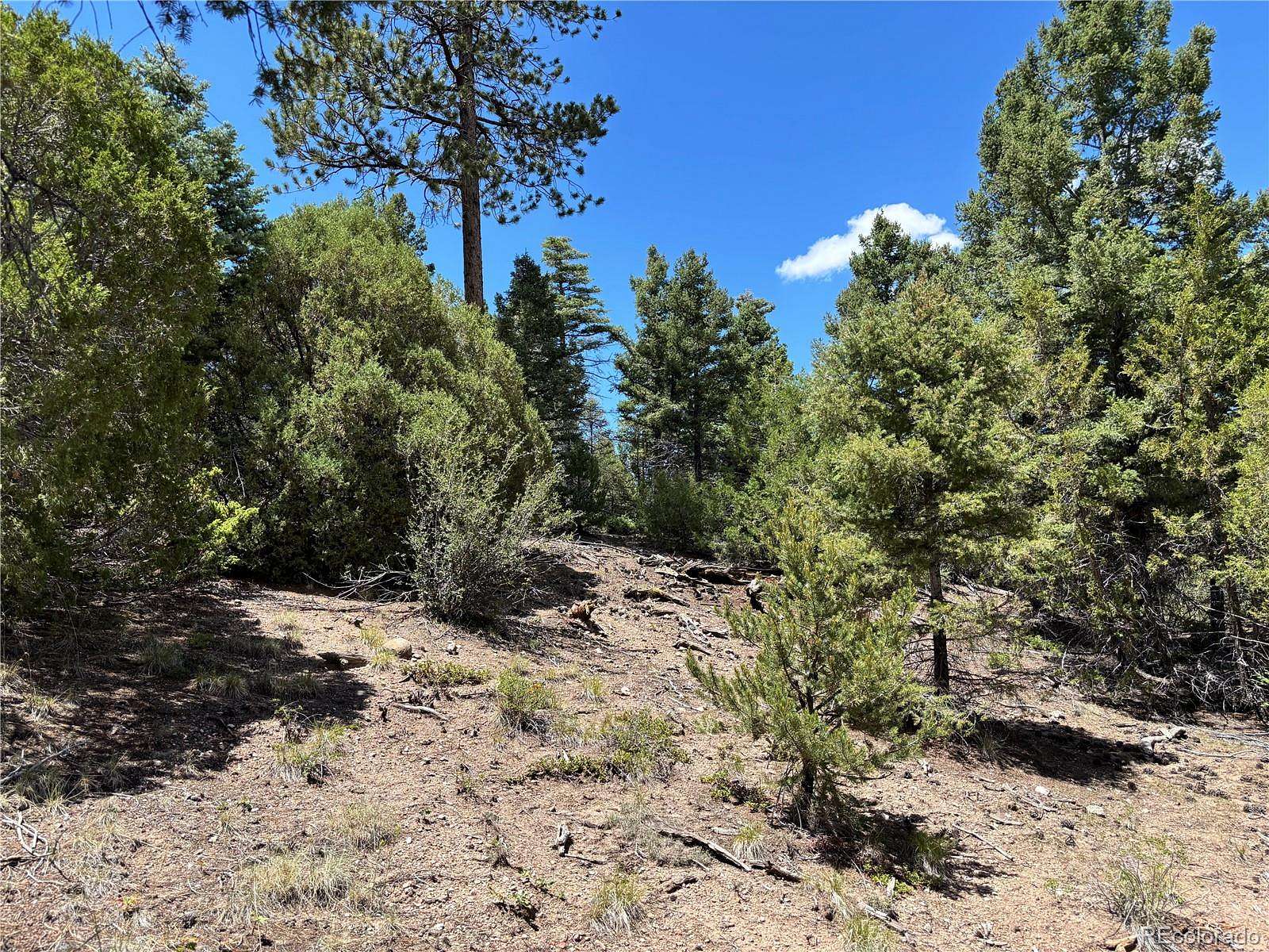 5 Acres of Residential Land for Sale in Fort Garland, Colorado