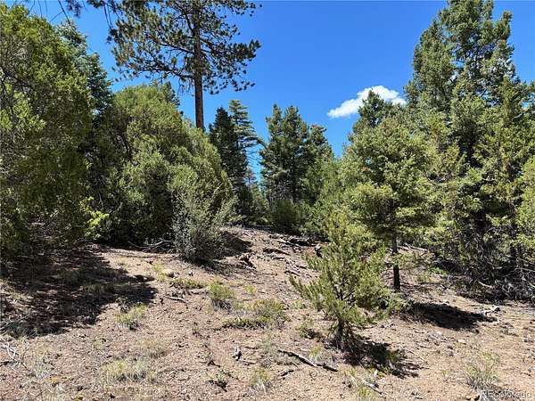 5 Acres of Residential Land for Sale in Fort Garland, Colorado