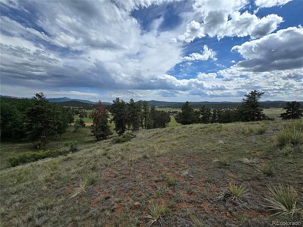 2 Acres of Residential Land for Sale in Florissant, Colorado