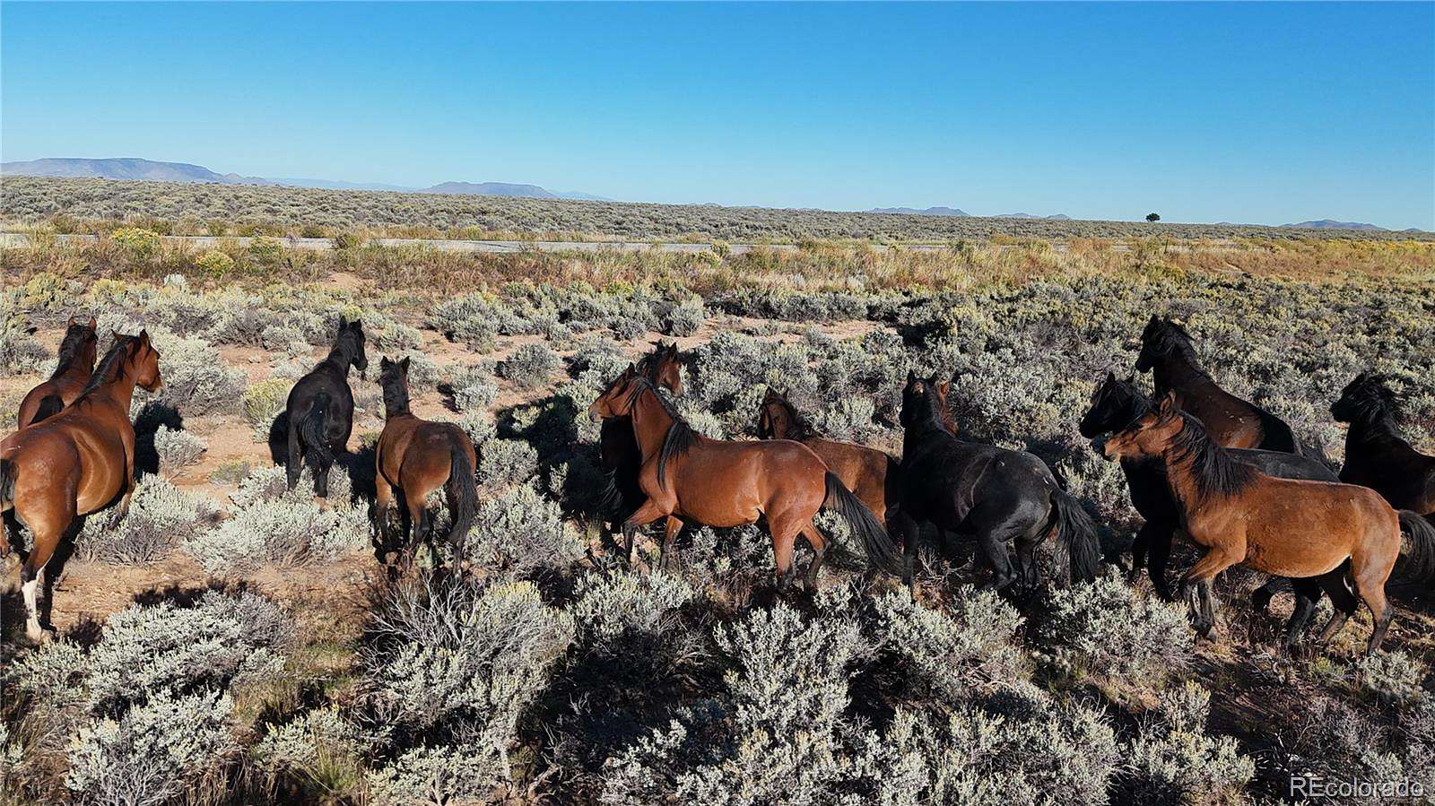 160 Acres of Land for Sale in San Luis, Colorado