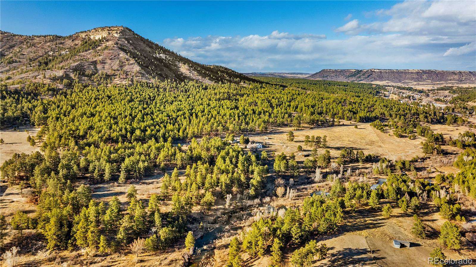 76.6 Acres of Land for Sale in Larkspur, Colorado