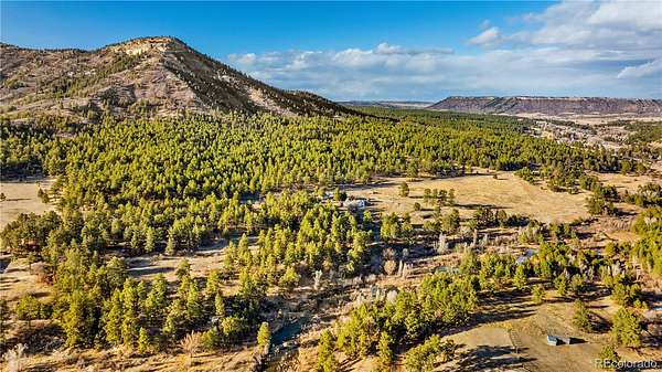 76.6 Acres of Land for Sale in Larkspur, Colorado