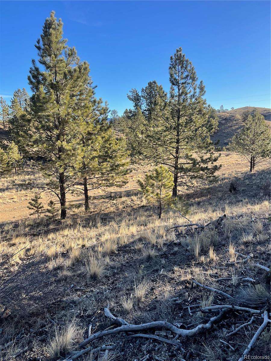 0.16 Acres of Residential Land for Sale in Hartsel, Colorado