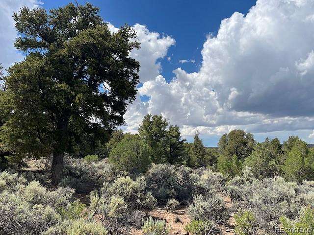 1 Acre of Residential Land for Sale in San Luis, Colorado