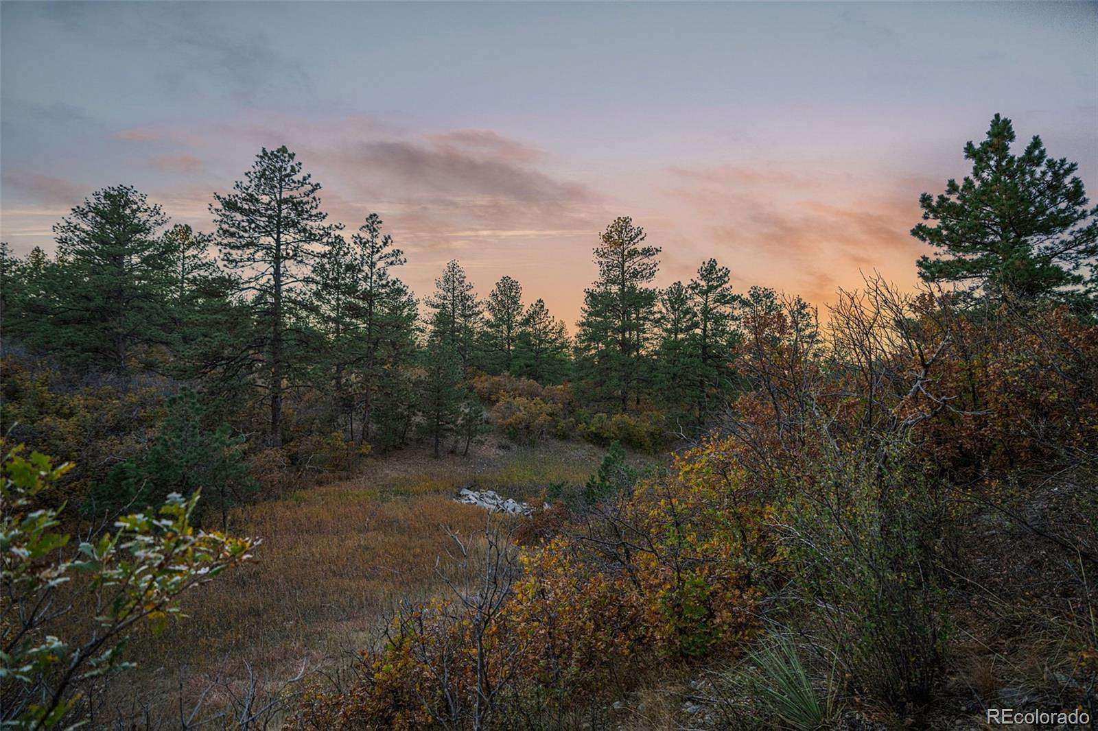 5.3 Acres of Residential Land for Sale in Franktown, Colorado