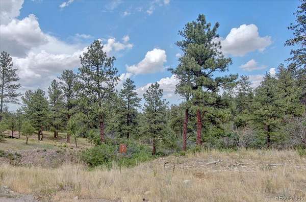 5.3 Acres of Residential Land for Sale in Franktown, Colorado