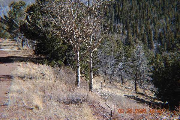 2.49 Acres of Residential Land for Sale in Fort Garland, Colorado