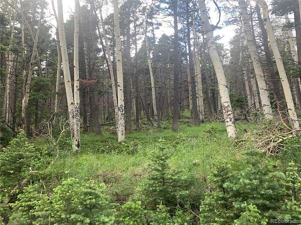 3 Acres of Residential Land for Sale in Fort Garland, Colorado
