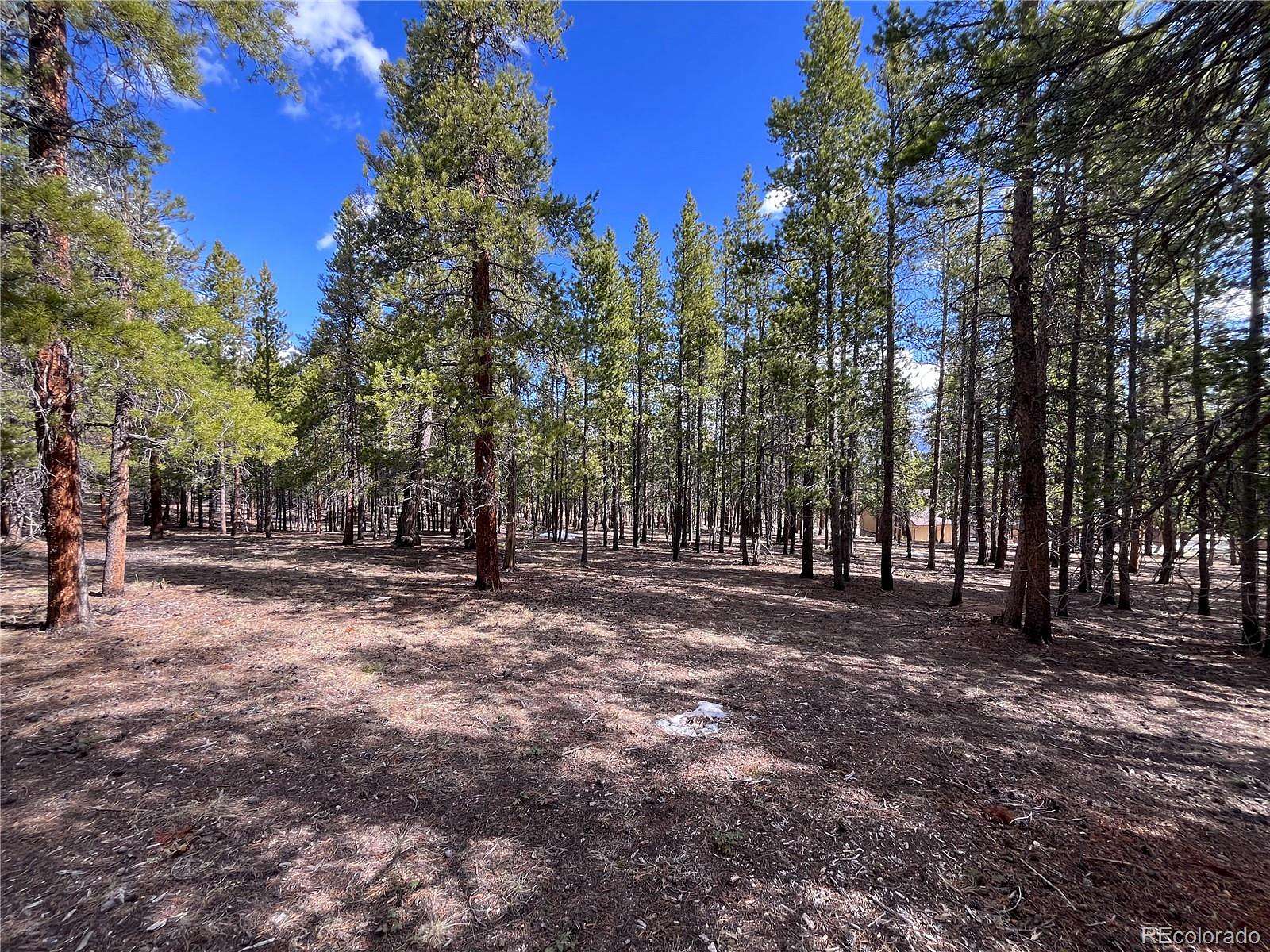 3 Acres of Residential Land for Sale in Buena Vista, Colorado