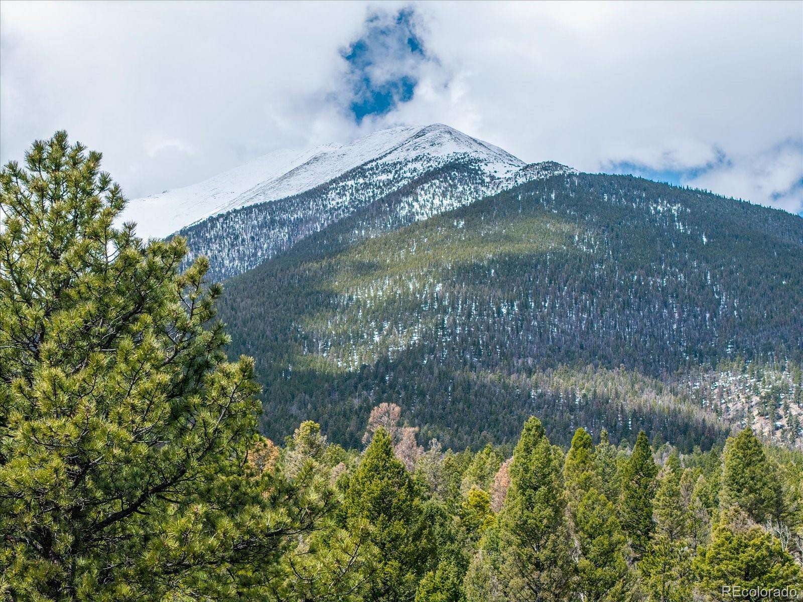 80 Acres of Land for Sale in Buena Vista, Colorado