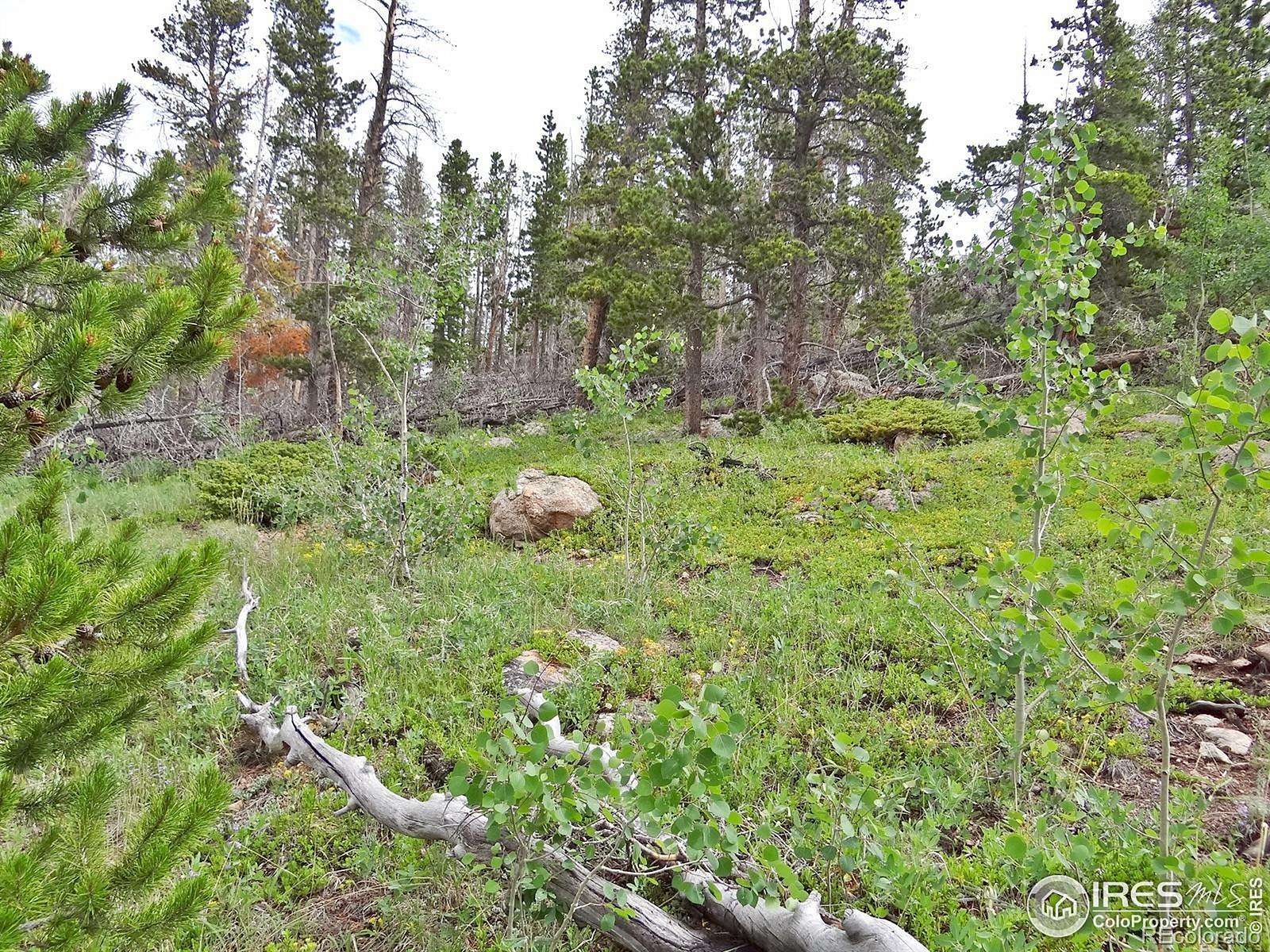 1.43 Acres of Land for Sale in Red Feather Lakes, Colorado
