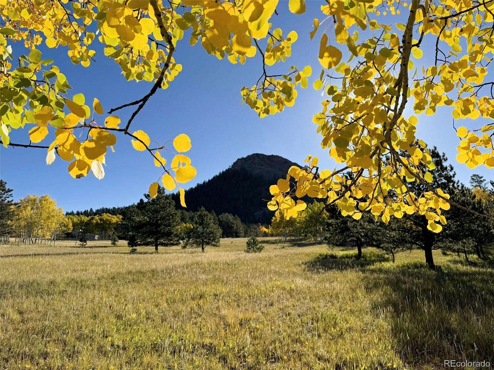 5.2 Acres of Residential Land for Sale in Lake George, Colorado