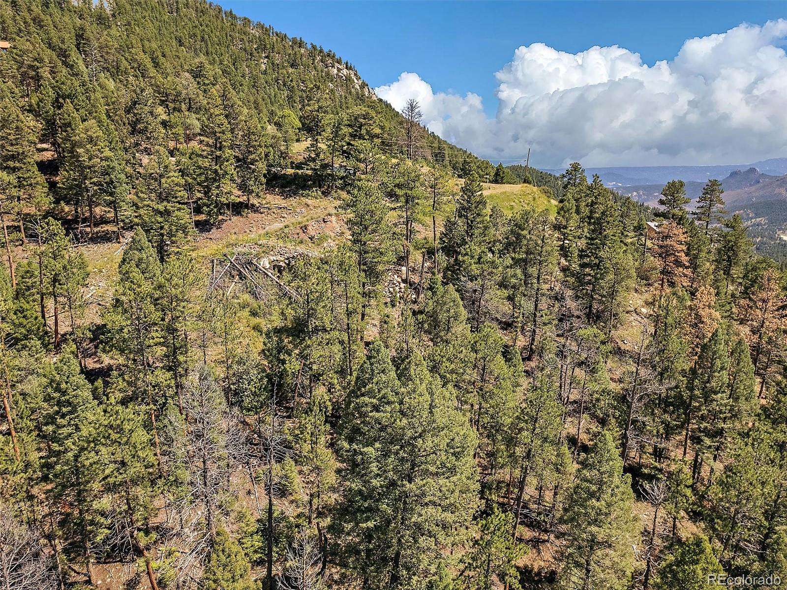 11.4 Acres of Land for Sale in Conifer, Colorado