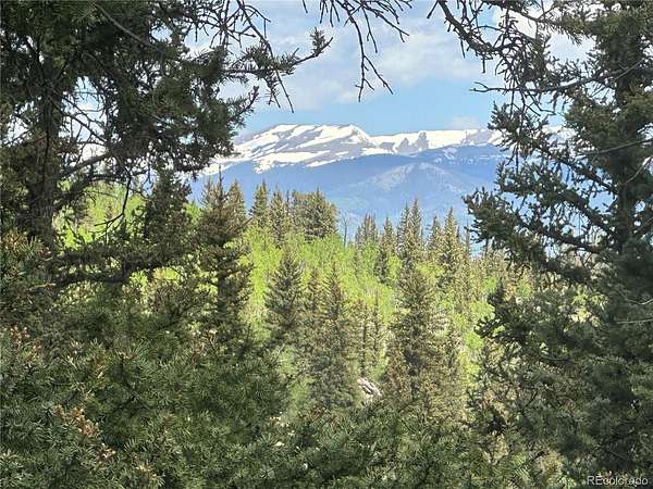 5 Acres of Land for Sale in Jefferson, Colorado