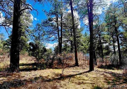 1.2 Acres of Residential Land for Sale in Pagosa Springs, Colorado