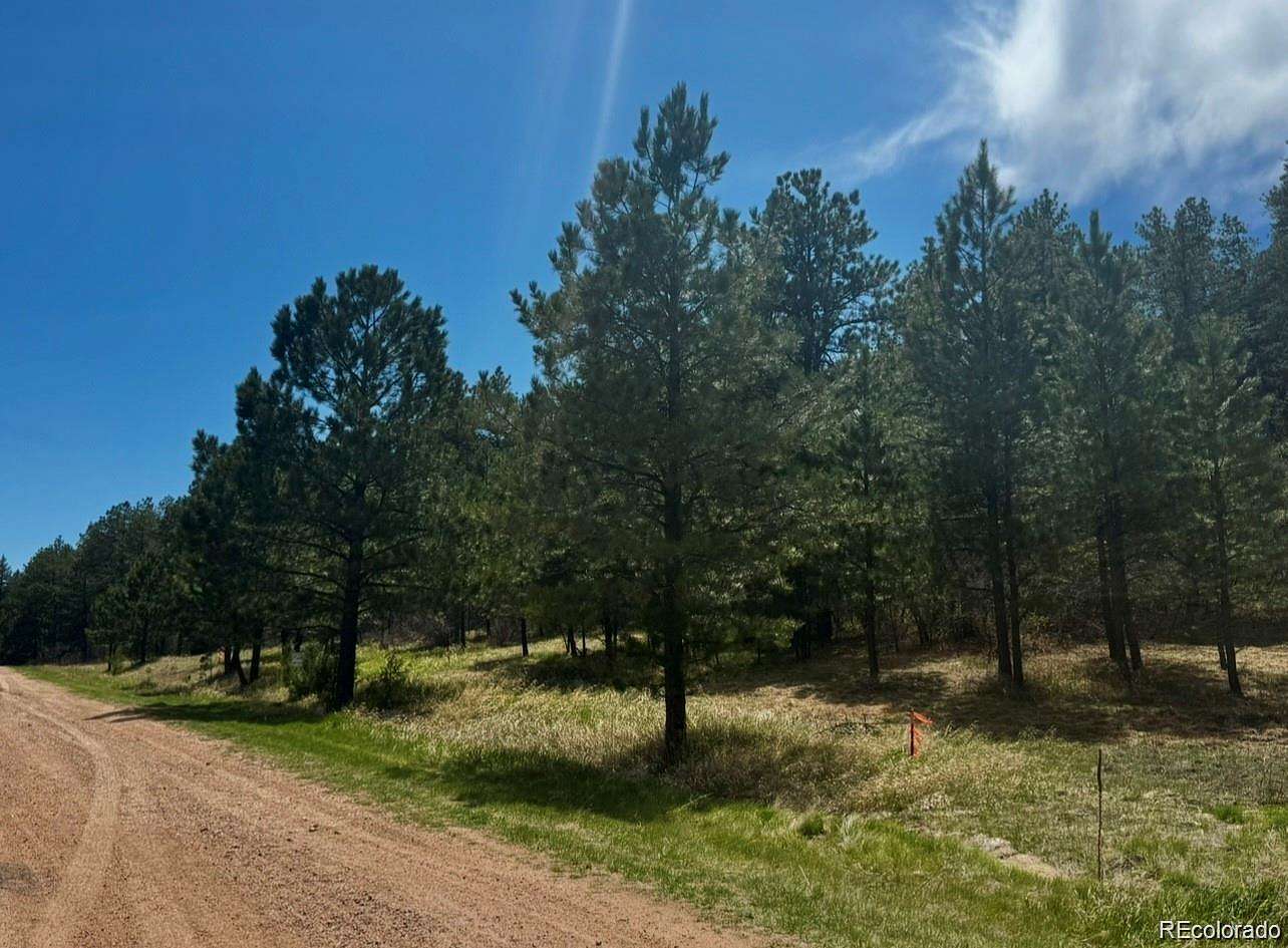 1 Acre of Land for Sale in Larkspur, Colorado