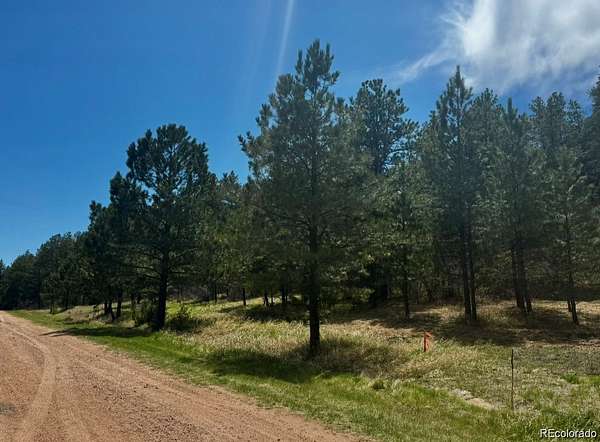 1 Acre of Land for Sale in Larkspur, Colorado